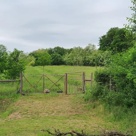 Koppany Pines Rewild Escapes - Wild Bell Tents خيمة فخمة *
