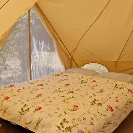 Koppany Pines Rewild Escapes - Wild Bell Tents