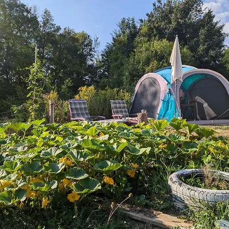 Koppany Pines Rewild Escapes - Wild Bell Tents *
