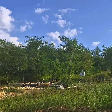 Koppany Pines Rewild Escapes - Wild Bell Tents Luksusowy namiot