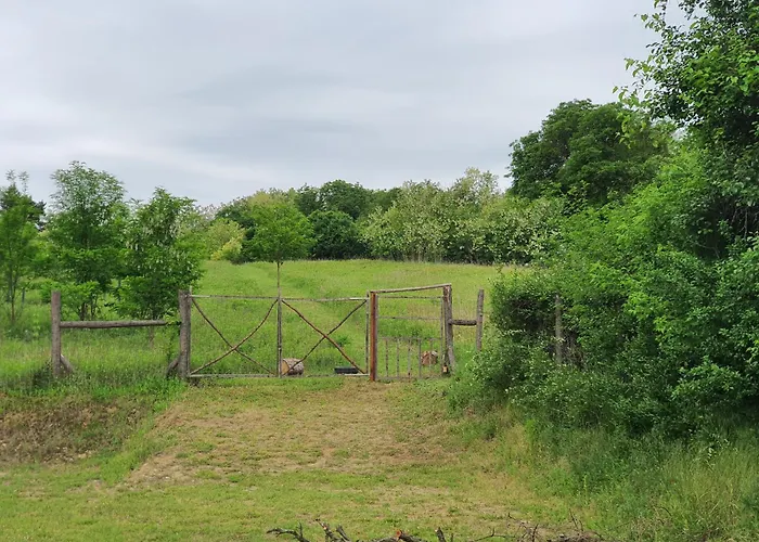 Koppany Pines Rewild Escapes - Wild Bell Tents خيمة فخمة *