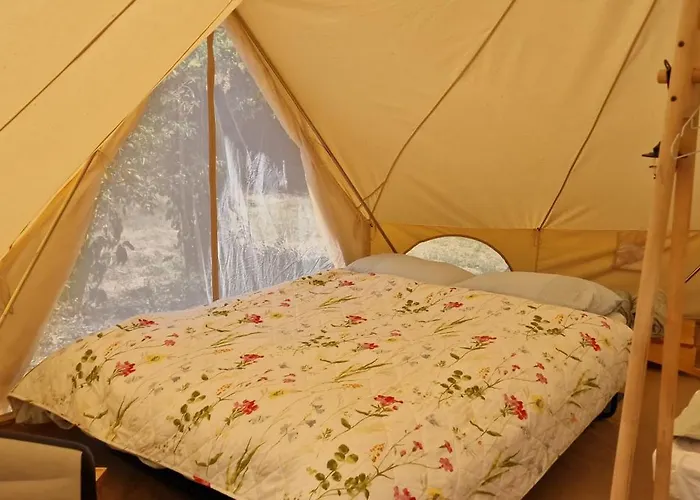 Koppany Pines Rewild Escapes - Wild Bell Tents